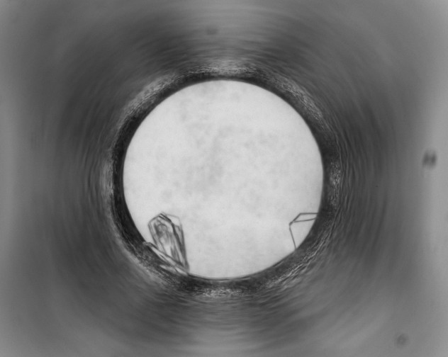 X0000099450734200806061105