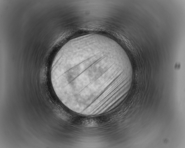 X0000099450735200806061105