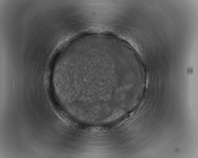 X0000099450736200806061105