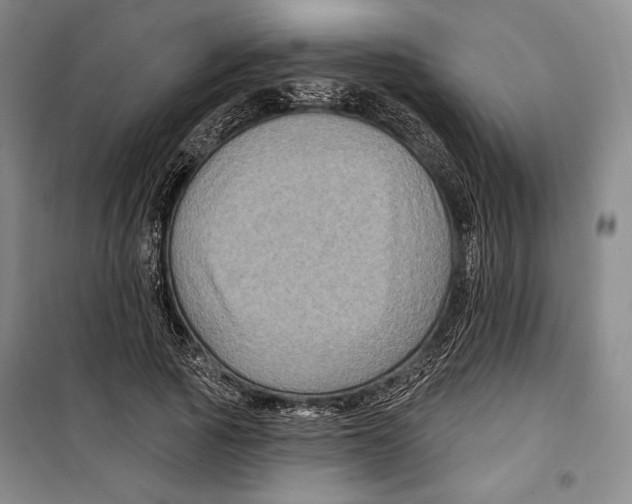 X0000099450737200806061105