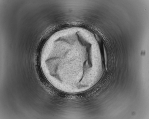 X0000099450738200806061105