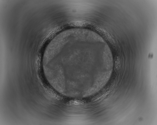 X0000099450739200806061105