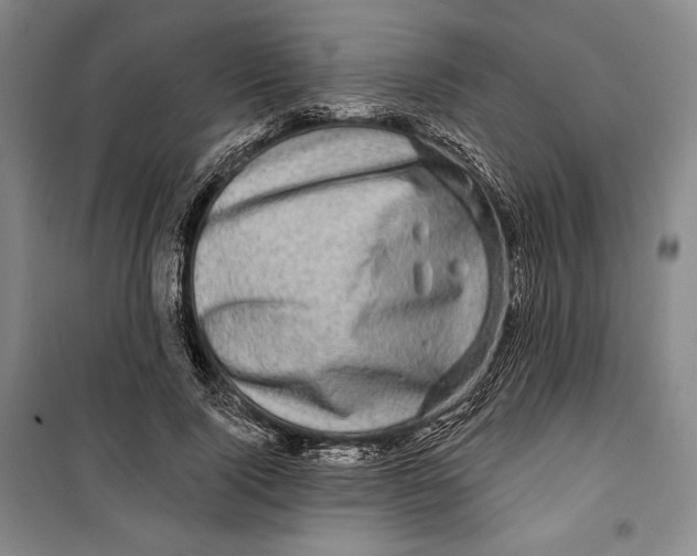 X0000099450740200806061105