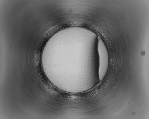 X0000099450741200806061105