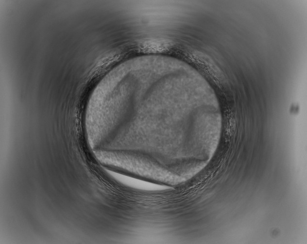 X0000099450743200806061105