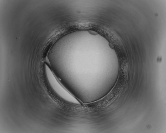 X0000099450744200806061105