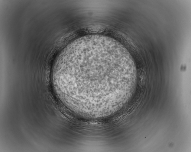 X0000099450745200806061105