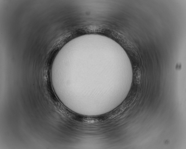 X0000099450746200806061105