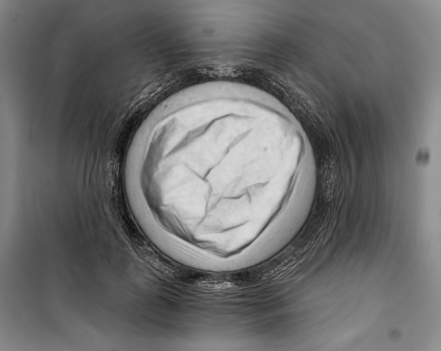 X0000099450747200806061105