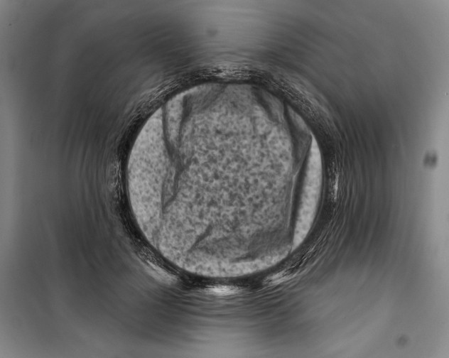 X0000099450748200806061105