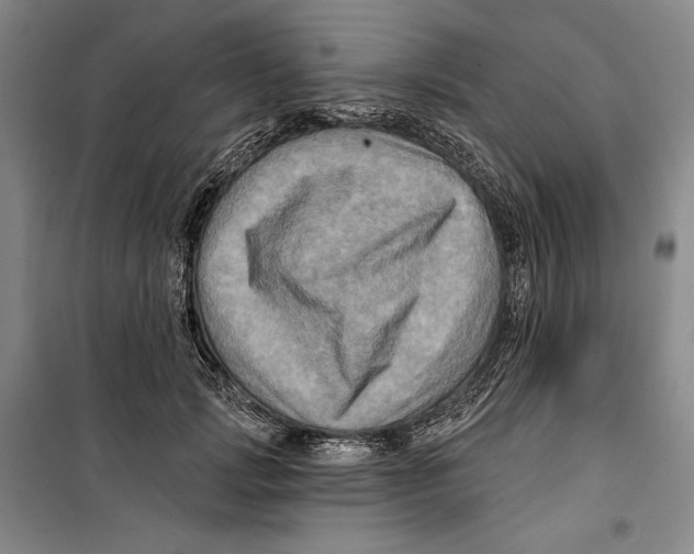 X0000099450749200806061105