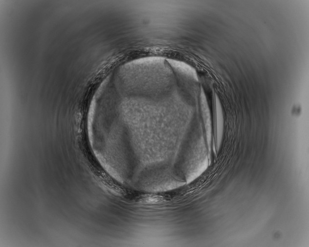 X0000099450750200806061105