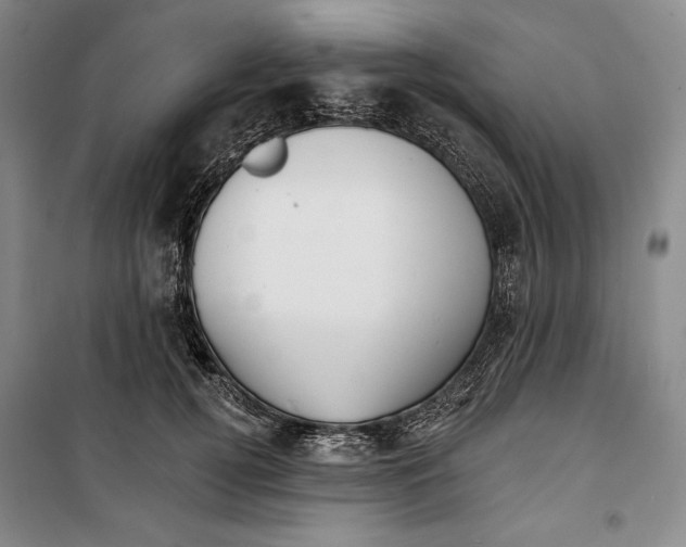 X0000099450752200806061105