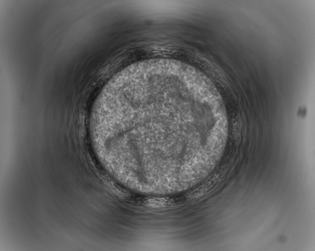 X0000099450757200806061106