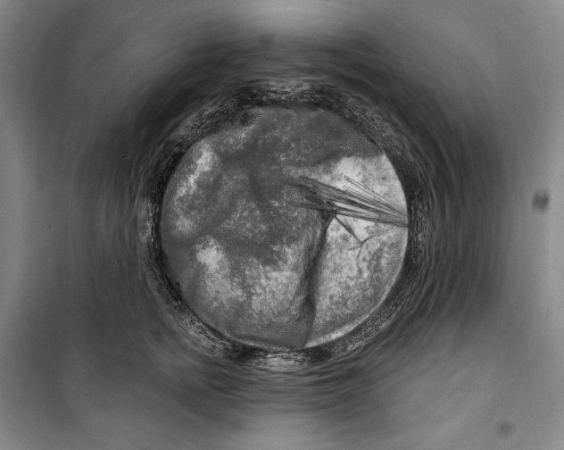 X0000099450758200806061106