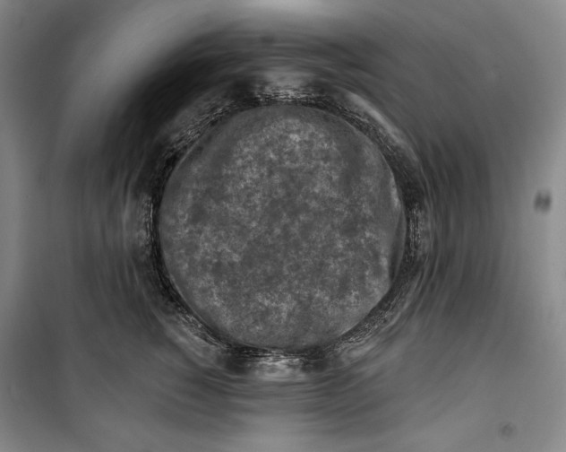 X0000099450760200806061106