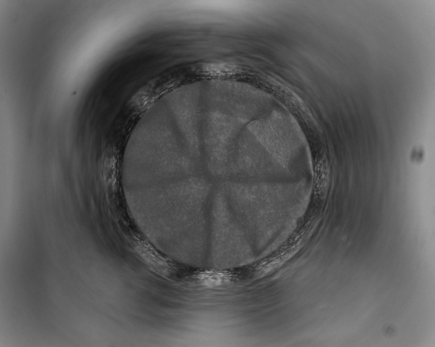 X0000099450762200806061106