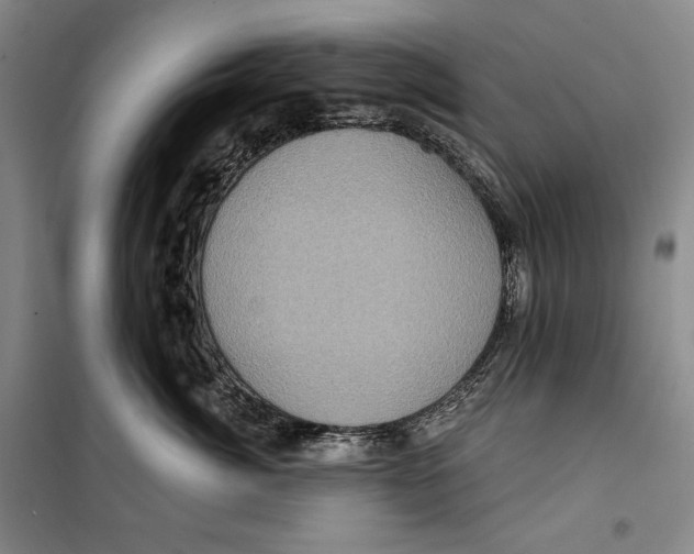 X0000099450764200806061106