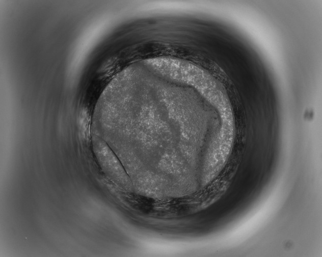 X0000099450766200806061106