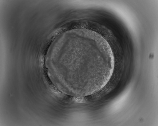 X0000099450767200806061106