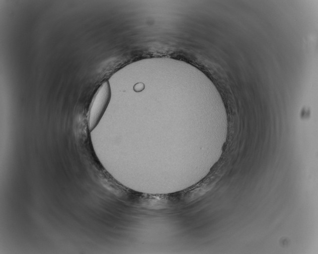 X0000099450768200806061106