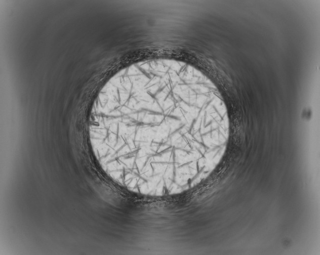 X0000099450769200806061105