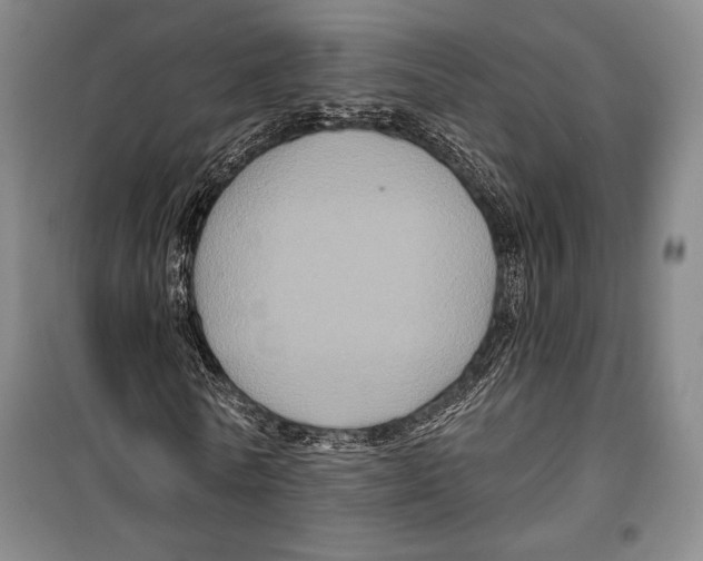 X0000099450770200806061105