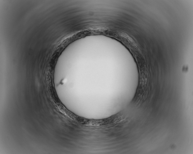 X0000099450773200806061105