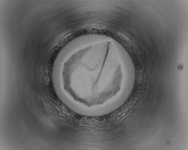 X0000099450774200806061105