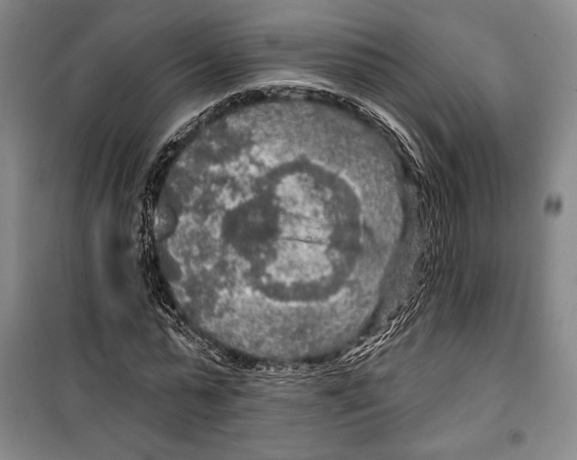 X0000099450775200806061105