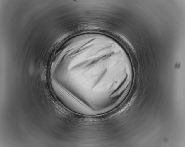 X0000099450777200806061105