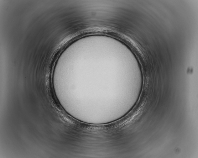 X0000099450778200806061105