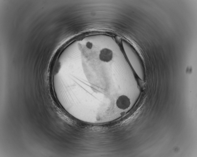 X0000099450779200806061105