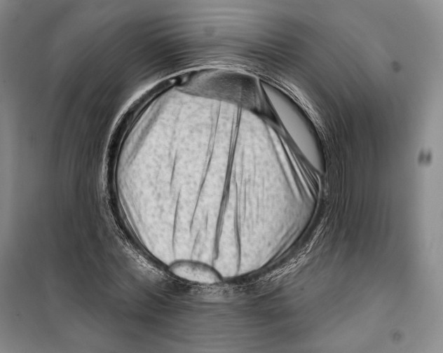 X0000099450780200806061105