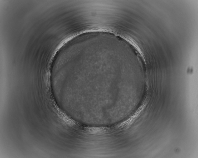 X0000099450781200806061105