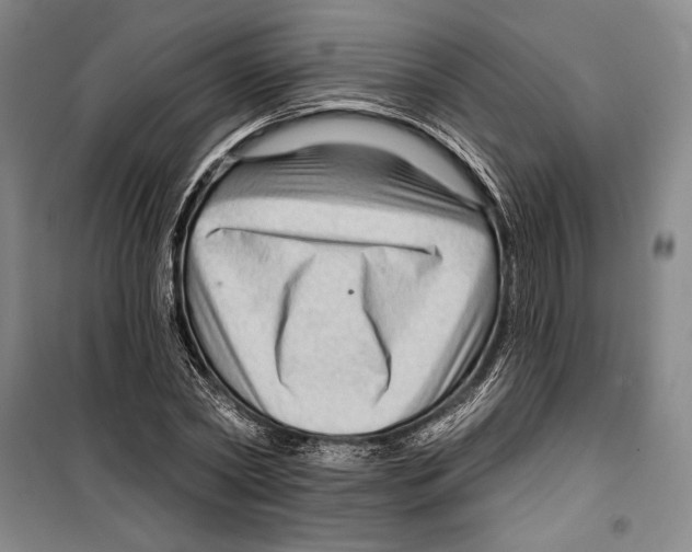 X0000099450782200806061105