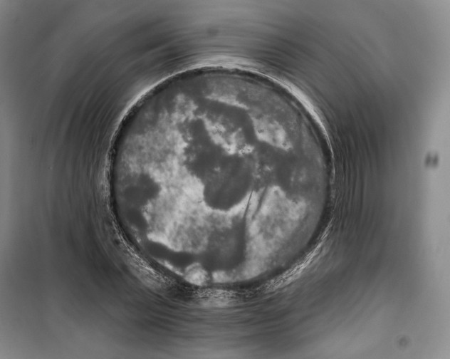 X0000099450783200806061105