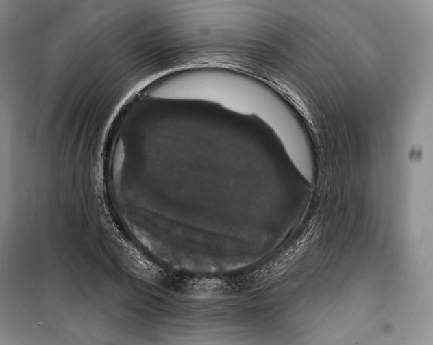 X0000099450784200806061105