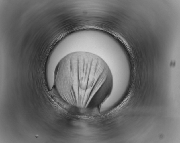 X0000099450785200806061105