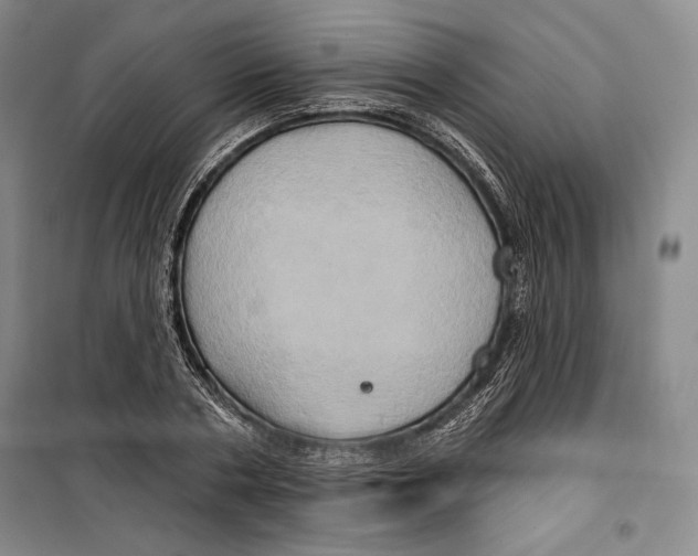 X0000099450786200806061105