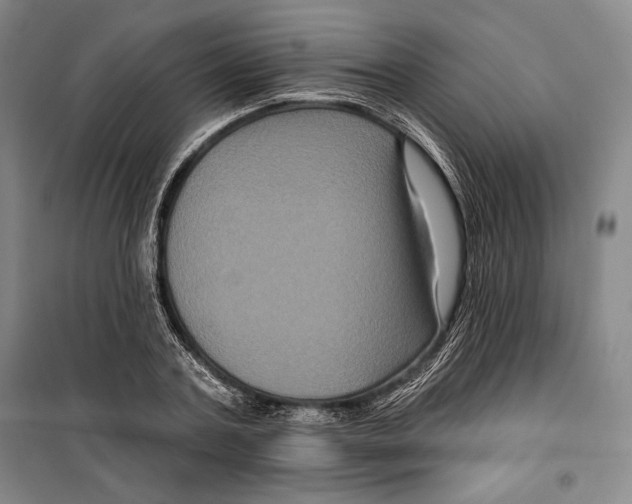 X0000099450787200806061105