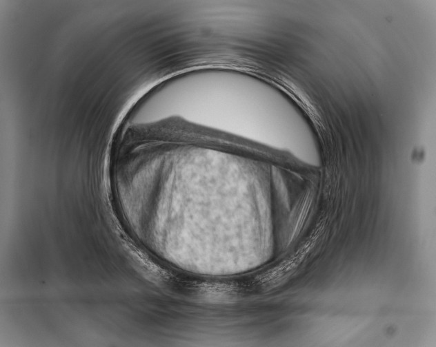 X0000099450788200806061105