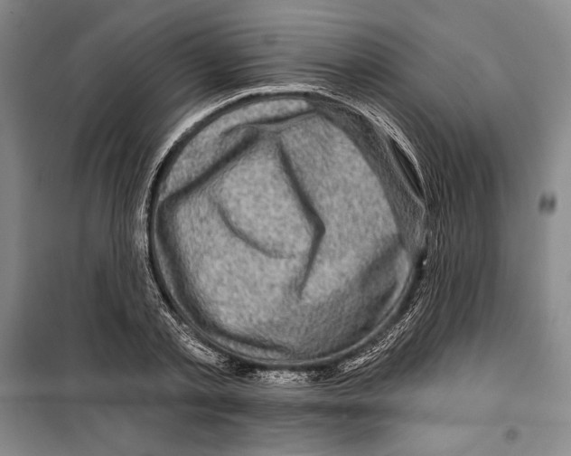 X0000099450789200806061105