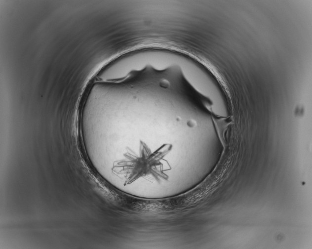 X0000099450791200806061105