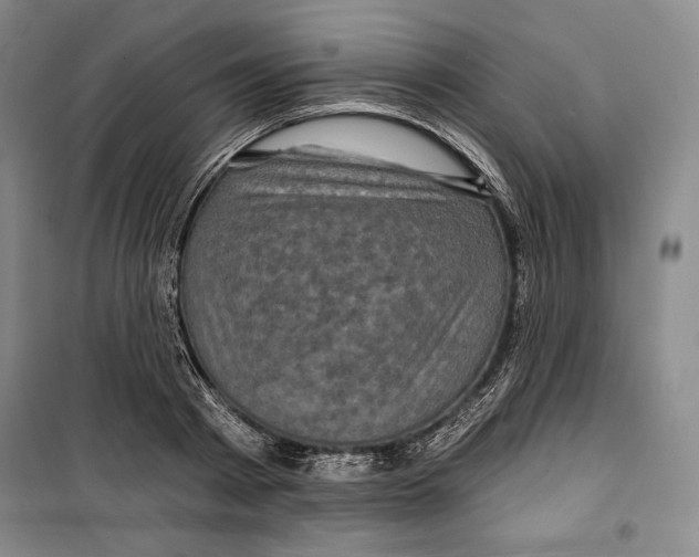 X0000099450793200806061105