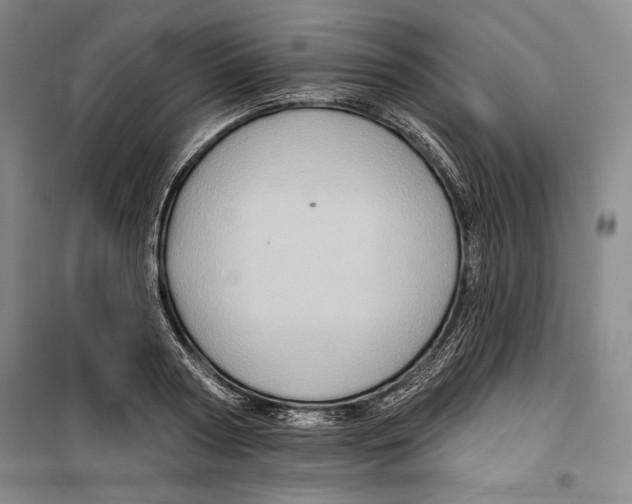 X0000099450794200806061105