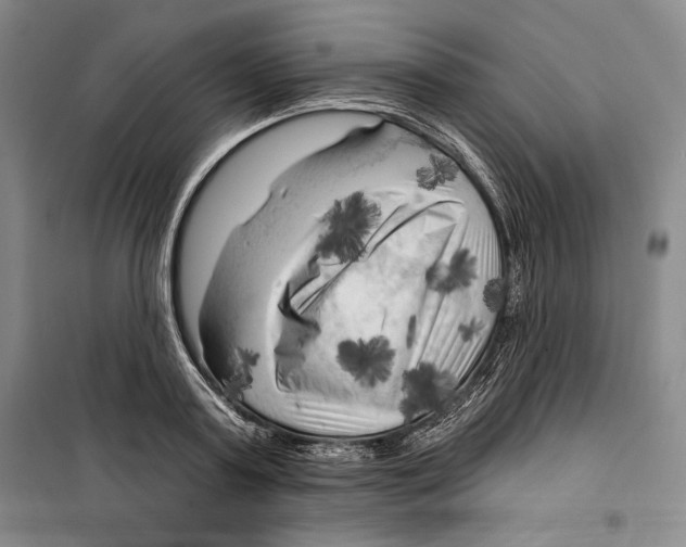 X0000099450795200806061105