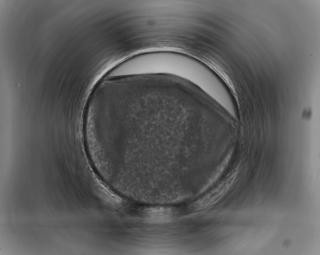 X0000099450797200806061104