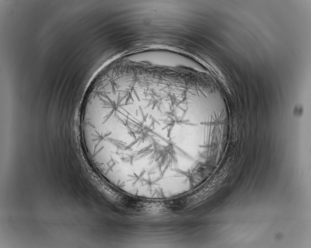 X0000099450798200806061104