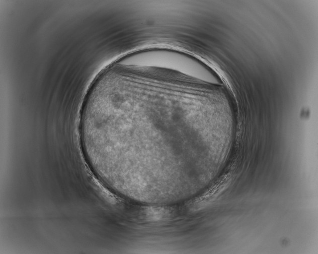 X0000099450799200806061104